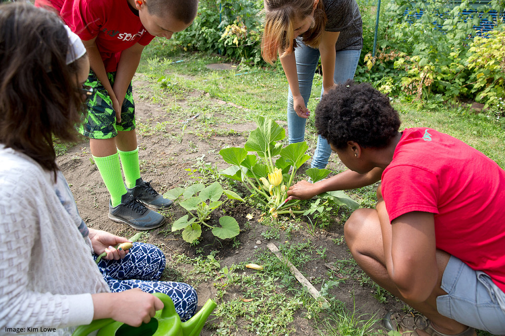 school-gardens